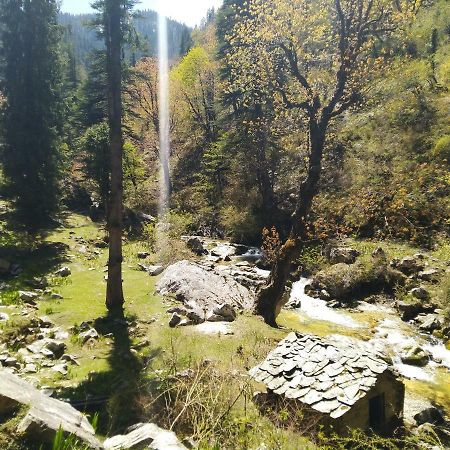 Latoda Eco Lodge Jibhi Экстерьер фото