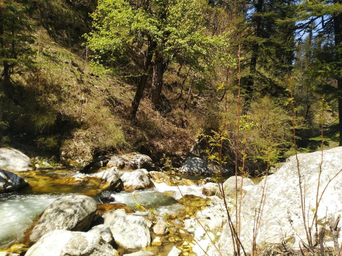Latoda Eco Lodge Jibhi Экстерьер фото